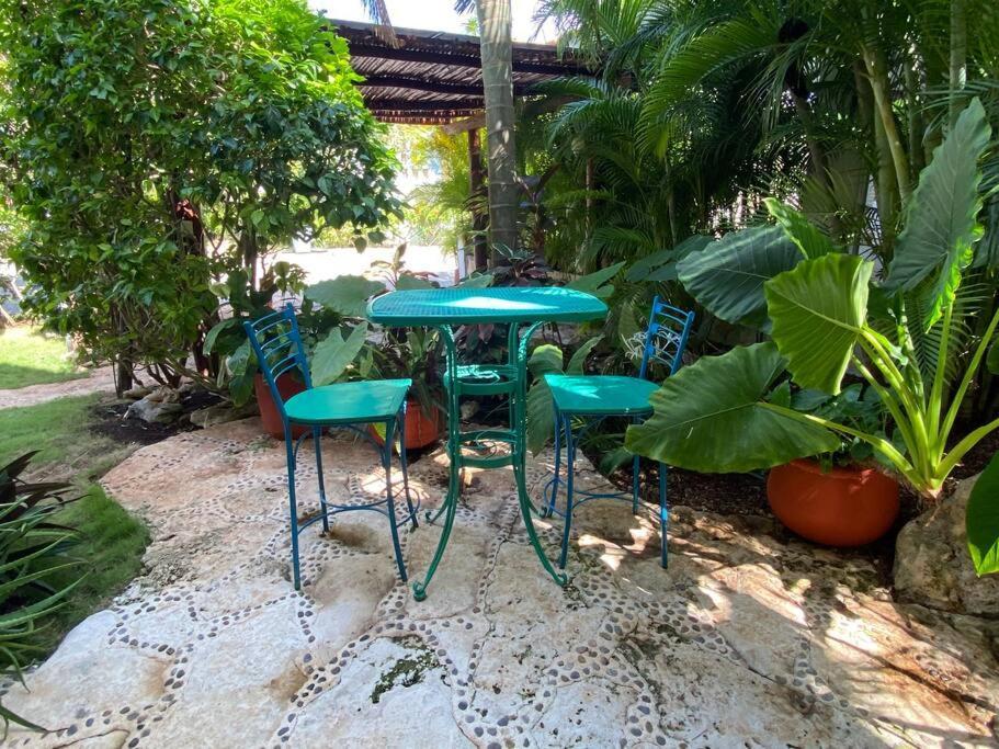 Unique Charming Steps To The Playa del Carmen
